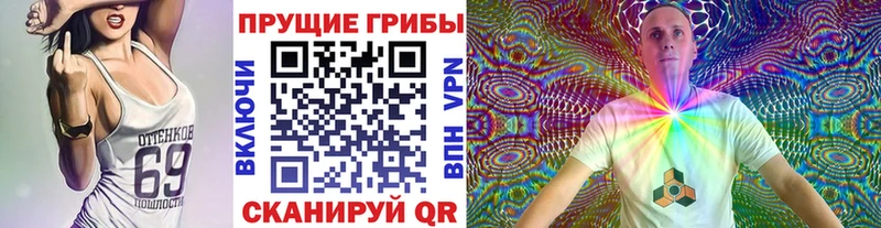 Галлюциногенные грибы Cubensis  где купить наркоту  Медногорск 